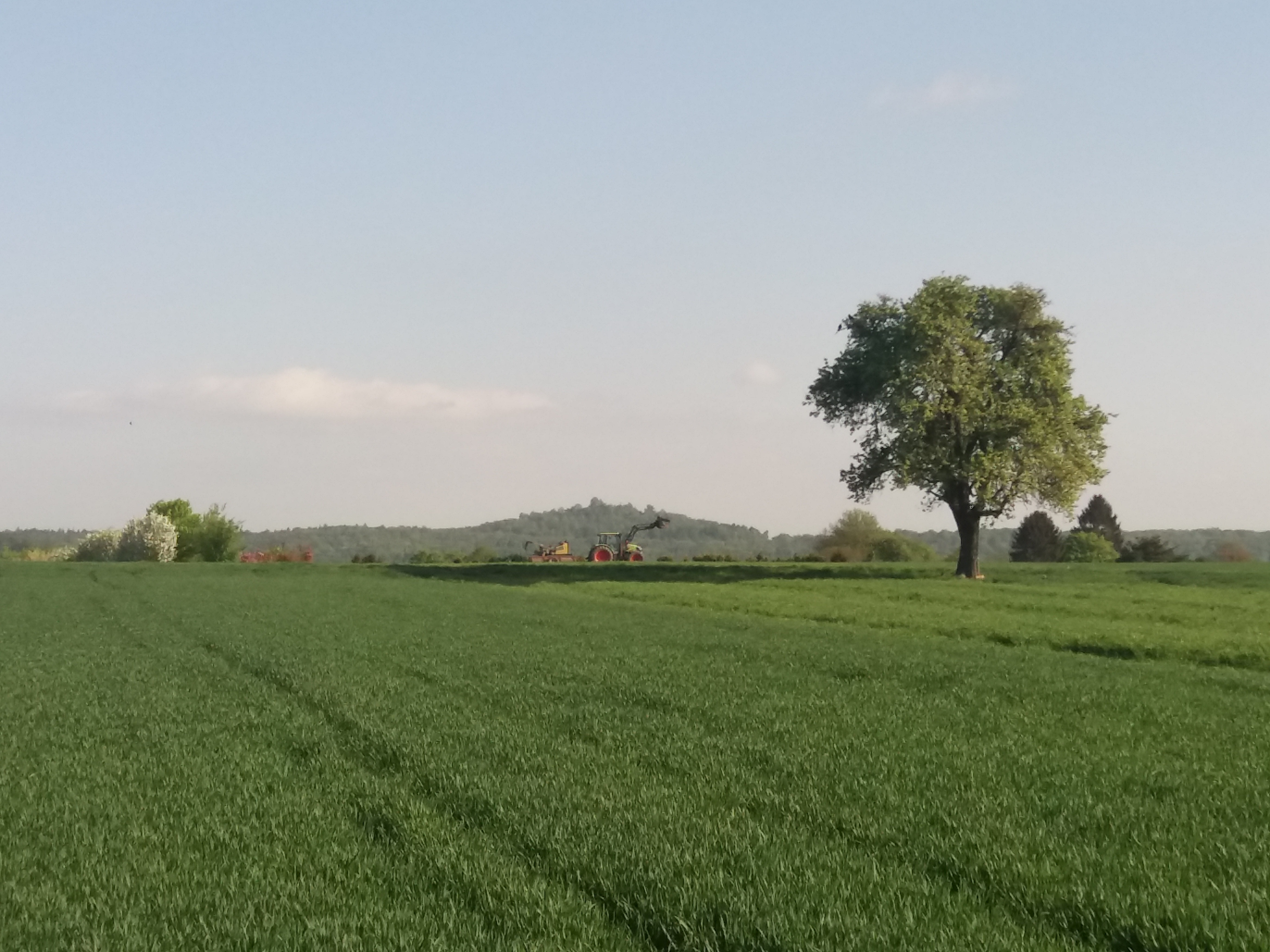 Campo verde, uma árvore frondosa, um trator e várias árvores ao fundo, morros mais ao fundo ainda, céu limpo.